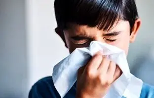 میوه‌های مفید و مضر برای سرماخوردگی