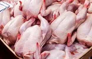 قیمت گوشت مرغ، امروز پنجشنبه ۶ دی ۱۴۰۳

