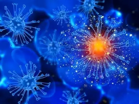 چرا سیستم ایمنی بدن ضعیف می‌شود؟