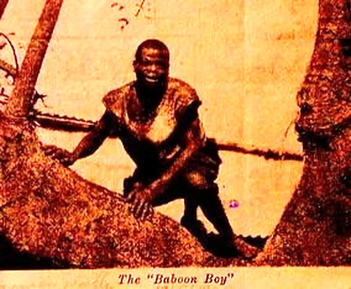  لوکاس؛ پسری وحشی که در حال سفر با «میمون‌ها» پیدا شد 