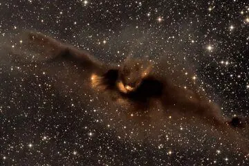 خفاش فضایی در تصویر روز ناسا دیده شد