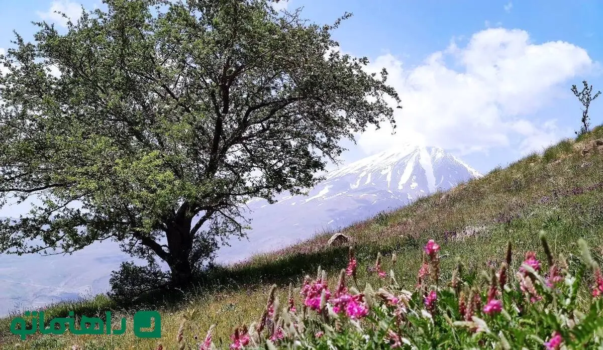 راهنمای سفر یک روزه به دشت آزو؛ بهترین نقطه برای تماشای کوه دماوند