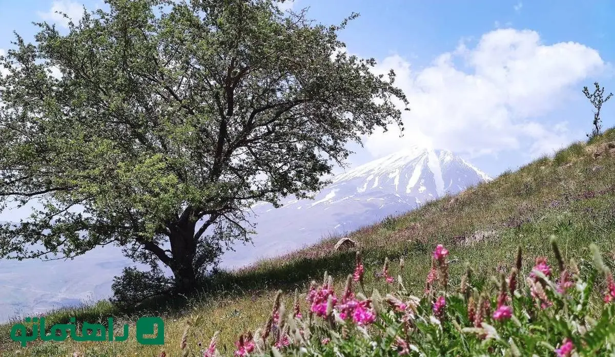 راهنمای سفر یک روزه به دشت آزو؛ بهترین نقطه برای تماشای کوه دماوند