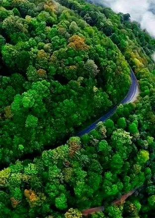 زیباترین جاده‌های ایران برای سفر تابستانی؛ مسیرهایی که خودشان مقصد هستند