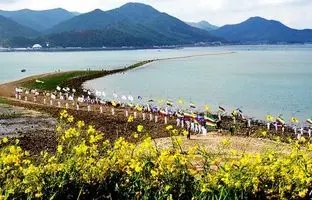 در این نقطه جهان «دریا» واقعا شکافته می شود؛ آن هم سالی دو بار! 