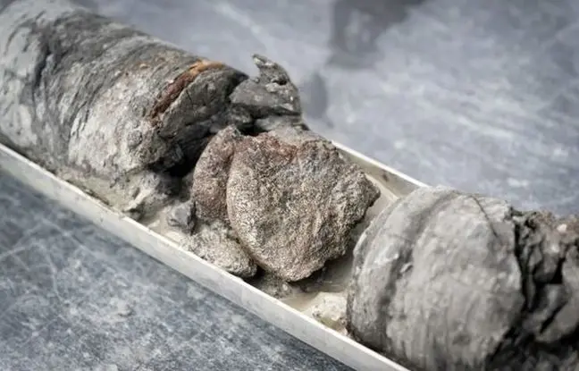  «مهرۀ کمر دایناسور» از عمق ۲۰۰ متری زیر «پارکینگ» بیرون آمد 