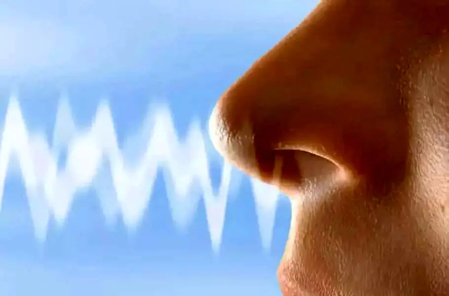 تحقیق جدید: الگوی تنفس می‌تواند هویت، خلق‌وخو و وضعیت سلامت شما را فاش کند