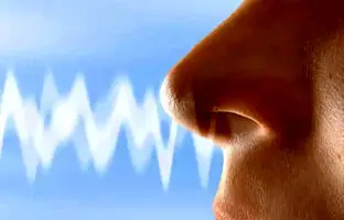 تحقیق جدید: الگوی تنفس می‌تواند هویت، خلق‌وخو و وضعیت سلامت شما را فاش کند