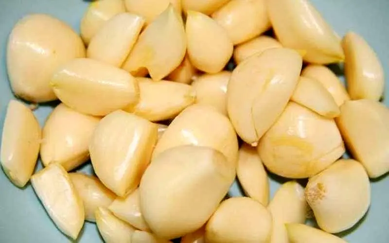 سیر خام بخوریم یا نخوریم؟