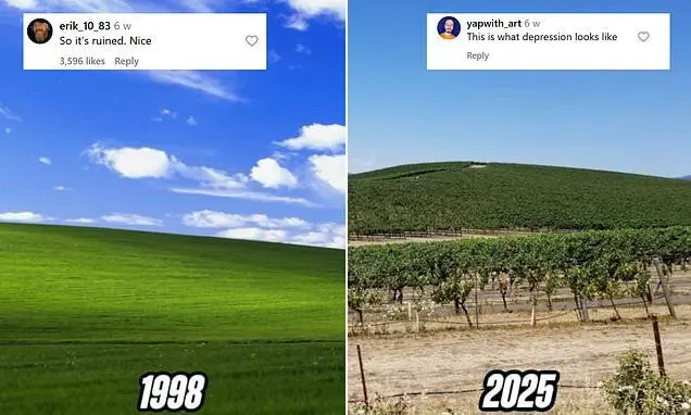 سرنوشت غم‌انگیز لوکیشن تصویر پس‌زمینه مشهور ویندوز XP