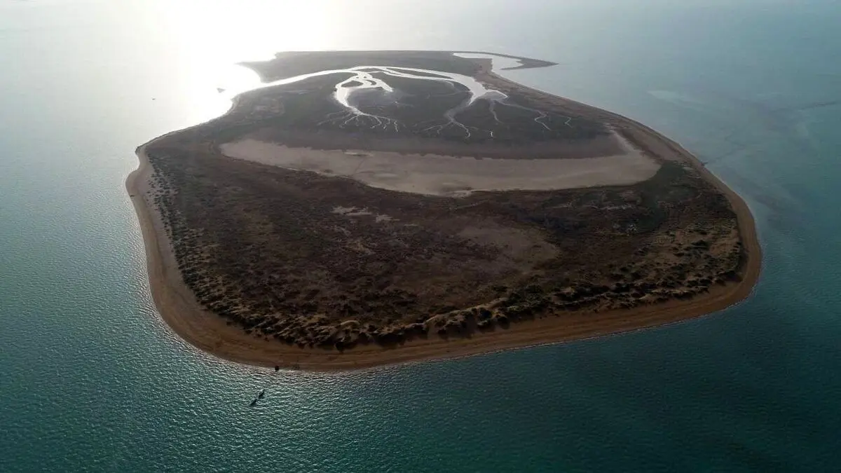 این جزیره غیرمسکونی در خلیج فارس تبدیل به پارک شد 