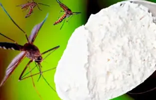 روش طبیعی برای دفع پشه کوره و حشرات از خانه + ویدئو