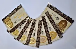 
قیمت سکه پارسیان، امروز ۲۰ خرداد ۱۴۰۴
