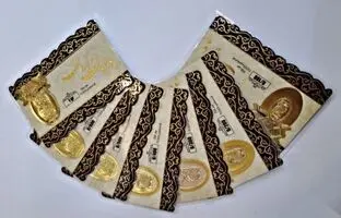 
قیمت سکه پارسیان، امروز ۲۰ خرداد ۱۴۰۴

