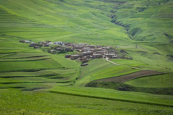 گالری