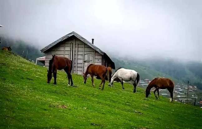 منطقه خنک گیلان در تابستان را بشناسید | بهترین زمان سفر به ماسال + تصاویر