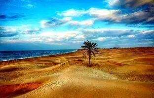  5  ساحل عجیب ایران که باید در پاییز به آن سفر کنیم