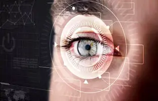 آیا چشم‌ها واقعاً دنیا را وارونه می‌بینند؟ 