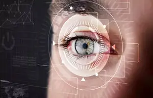 آیا چشم‌ها واقعاً دنیا را وارونه می‌بینند؟ 