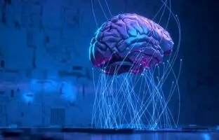
اگر مغز ما دو برابر فعال شود، نابغه می‌شویم یا دیوانه؟
