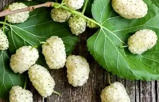 خوردن این میوه برابر است با یک داروی ضدافسردگی!