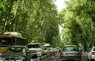  سفر در زمان؛ وقتی چنارهای خیابان ولیعصر تازه کاشته شده بودند؛ سال 1316  + تصویر