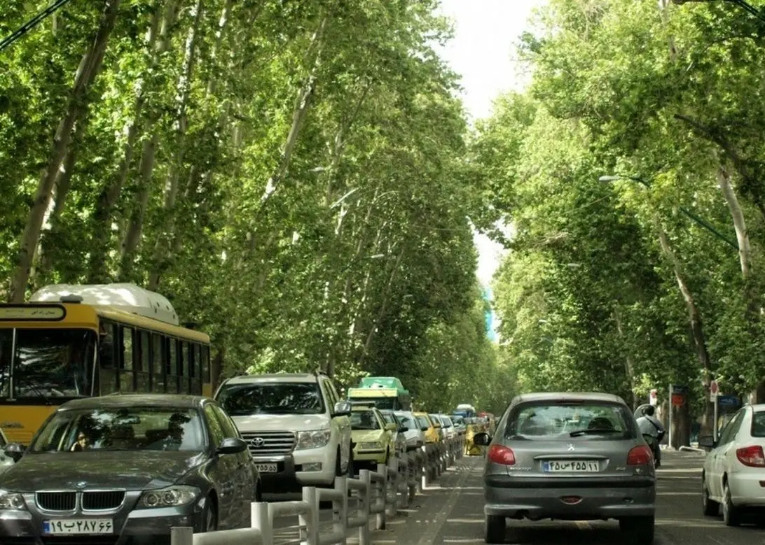  سفر در زمان؛ وقتی چنارهای خیابان ولیعصر تازه کاشته شده بودند؛ سال 1316  + تصویر