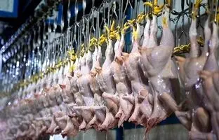 قیمت گوشت مرغ، امروز دوشنبه ۵ آذر ۱۴۰۳
