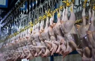راهنمای بازار؛ قیمت گوشت مرغ، امروز ۱۶ اردیبهشت ۱۴۰۴