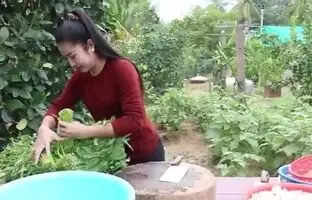  نحوه پخت غذا با مار ماهی و گربه ماهی به روش بانوی تایلندی + ویدئو