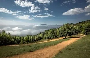 پادشاهانی که جنگل‌های ایران را به بیابان تبدیل کردند 