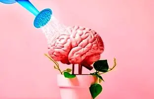 یک معمای به ظاهر ساده، ترکیبی از خلاقیت، مهارت ریاضی و دید قوی