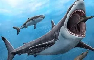 
کشف جدید در دنیای موجودات دریایی؛ کوسه‌ها صدای کلیک تولید می‌کنند!
