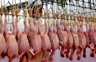 راهنمای بازار؛ قیمت گوشت مرغ، امروز ۱۵ اردیبهشت ۱۴۰۴

