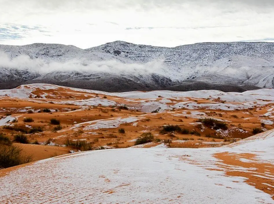 کدام صحراها و مناطق کویری از برف پوشیده شدند؟