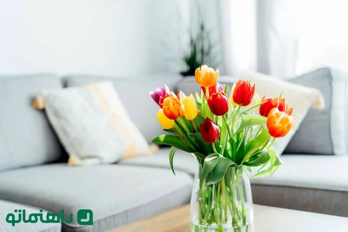 گل‌های بهاری 1404: لاله، رنگ بهار را به اتاق پذیرایی‌ات می‌آورد