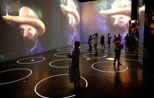  زنی که همه تابلوهای ون‌گوگ به او رسید 