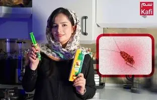 روش از بین بردن سوسک کابینت ام دی اف با خمیر سوسک کش کافی