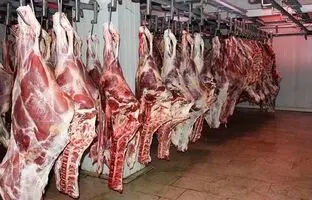 
قیمت گوشت قرمز، امروز چهارشنبه ۲۴ بهمن ۱۴۰۳
