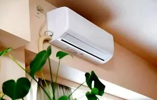 آیا کولر گازی به گیاهان آپارتمانی آسیب می‌زند؟