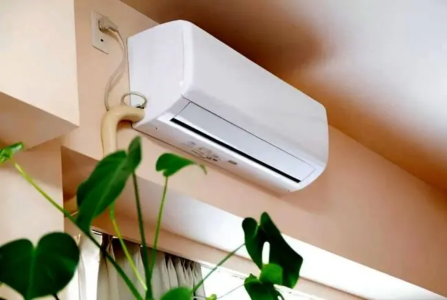 آیا کولر گازی به گیاهان آپارتمانی آسیب می‌زند؟