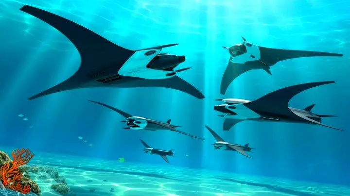 الگوبرداری دانشمندان از طبیعت /سفره‌ماهی‌های آهنی در راه‌اند!