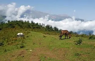 همسفر با بهار به زیباترین دهکده کلاردشت؛ چرا باید مازیچال را دید؟