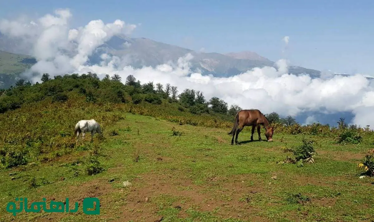 همسفر با بهار به زیباترین دهکده کلاردشت؛ چرا باید مازیچال را دید؟