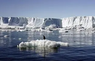 تفاوت‌های عجیب بین قطب جنوب و قطب شمال
