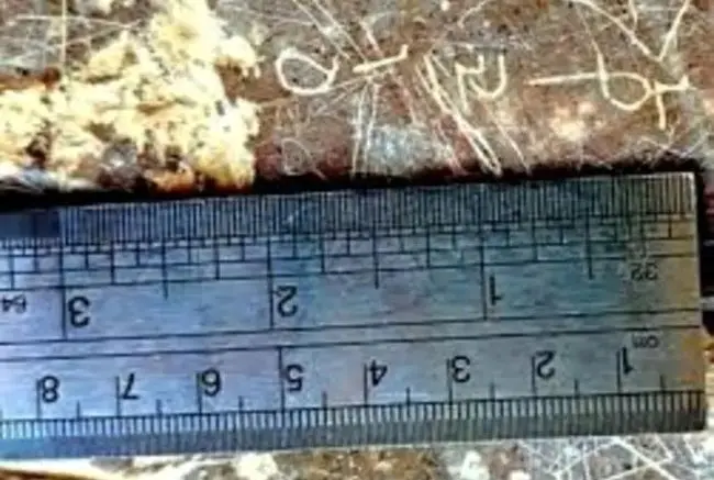 کشف یک کتیبه ساسانی که از جشنی در دی ماه سخن می‌گوید + عکس