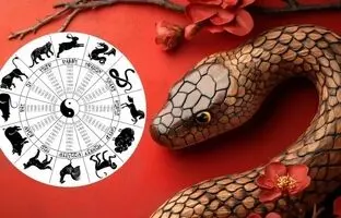 چرا ۱۴۰۴ سال مار است؟