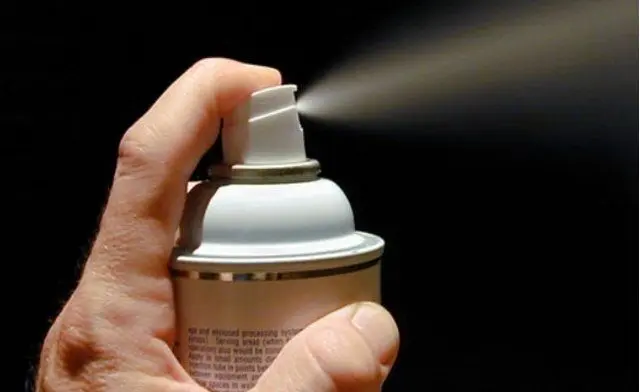 (عکس) طغیان یک حشره زشت و جدید در کشور | روش مقابله با این حشره