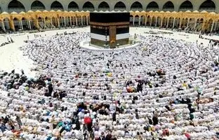 اقدام جدید عربستانی‌ها خبرساز شد/ ربات‌ها در مراسم حج چه‌کار می‌کنند؟
