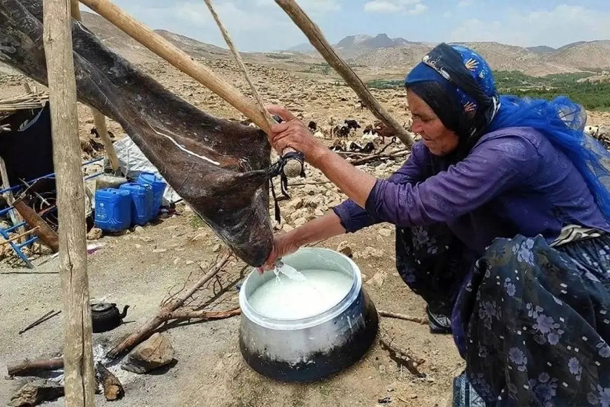 سفر به ایران قدیم؛ «زن عشایری در حال مشک زدن-بیستون کرمانشاه»؛ سال 1325 + تصویر